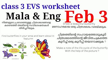 class 3 EVS worksheet 3/2/21| kite victers EVS worksheet 3/2/21 #talknwalk