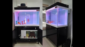 Boat เทพารักษ์ - O4FS ตู้ปลาปอมปาดัวร์ 48 24 30 กรองล่าง 36 Set 1