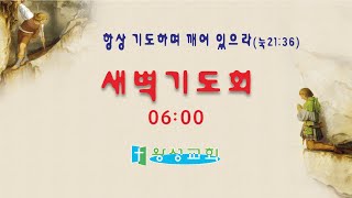 [아론의 핑계와 모세의 거룩한 분노 ] 25/07/03/06:00 | 평택왕성교회 | 한반석 목사 ||