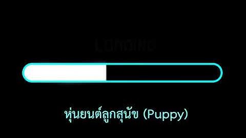 หุ่นยนต์ลูกสุนัข (Puppy) LEGO Mindstorms EV.3 Education