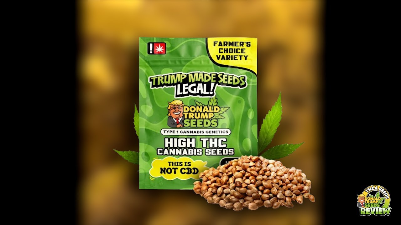 Donald Trump Seeds Review - Farmer's Choice THCa Seeds 