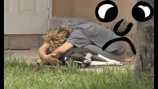 THIS WILL MAKE YOU CRY: Dog reacts to owner coming home by shashank panwar 458 views 6 years ago 57 seconds