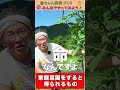 家庭菜園の魅力!【おうちで元気な無農薬野菜を育てよう】 #shorts