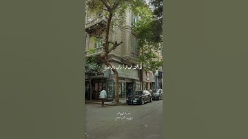 ما تيسر من سورة القصص 🤍