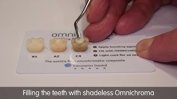 Tokuyama Shadeless Omnichroma - Seeing Is Believing!