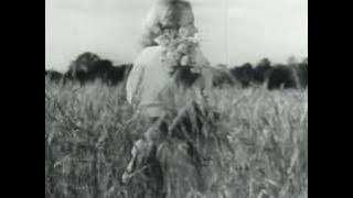 MARTA EGGERTH - Über weite Felder/Wo die Lerche singt (1936)