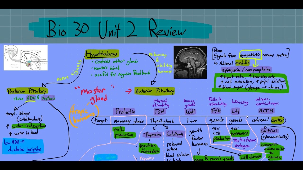 biology 30 assignments