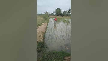 WhatsApp Video 2025 07 24 at 21 38 11 d40da10c