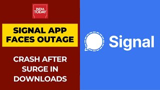 Signal App Goes Down After Huge Spike In Downloads