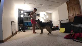 2018 1003 General Training
