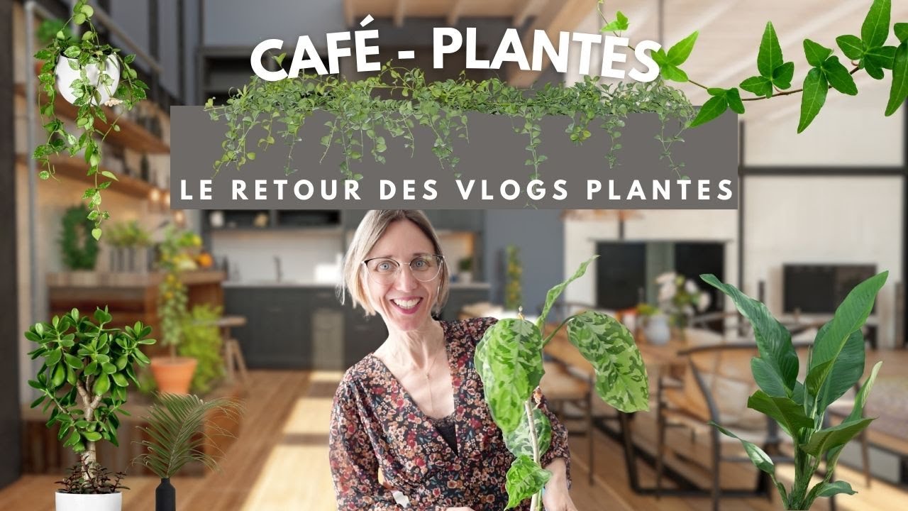 Café-plantes ! Prêts pour une dose de plantes vertes ? 🪴