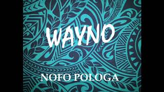 Video-Miniaturansicht von „WAYNO - NOFO POLOGA 2018“