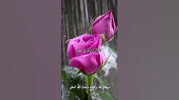 @dawlet-telawat الشيخ حلمي الجمل-نوادر روعه اجمل ما قراء #تلاوات