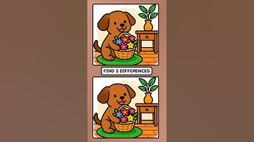 Find 3 Differences #75 #shortvideo #quiz #brainactivation