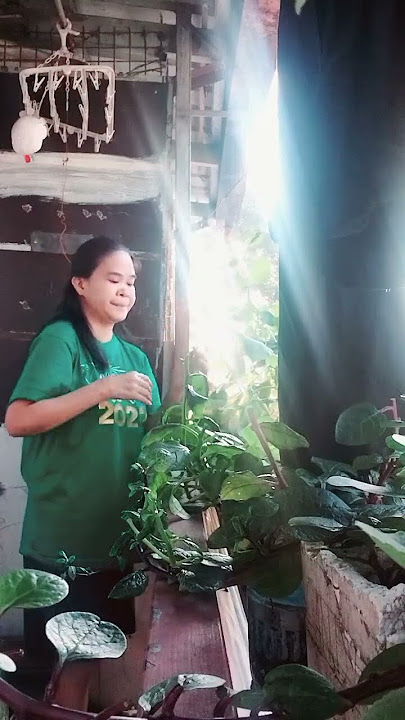 #shortvideo #viralvideo #tanim n alogbate #masustansya