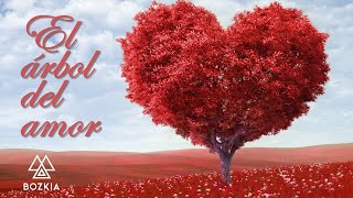 EL ARBOL DEL AMOR ❣❤ | Feliz Día de Amor 2022 | Bozkia