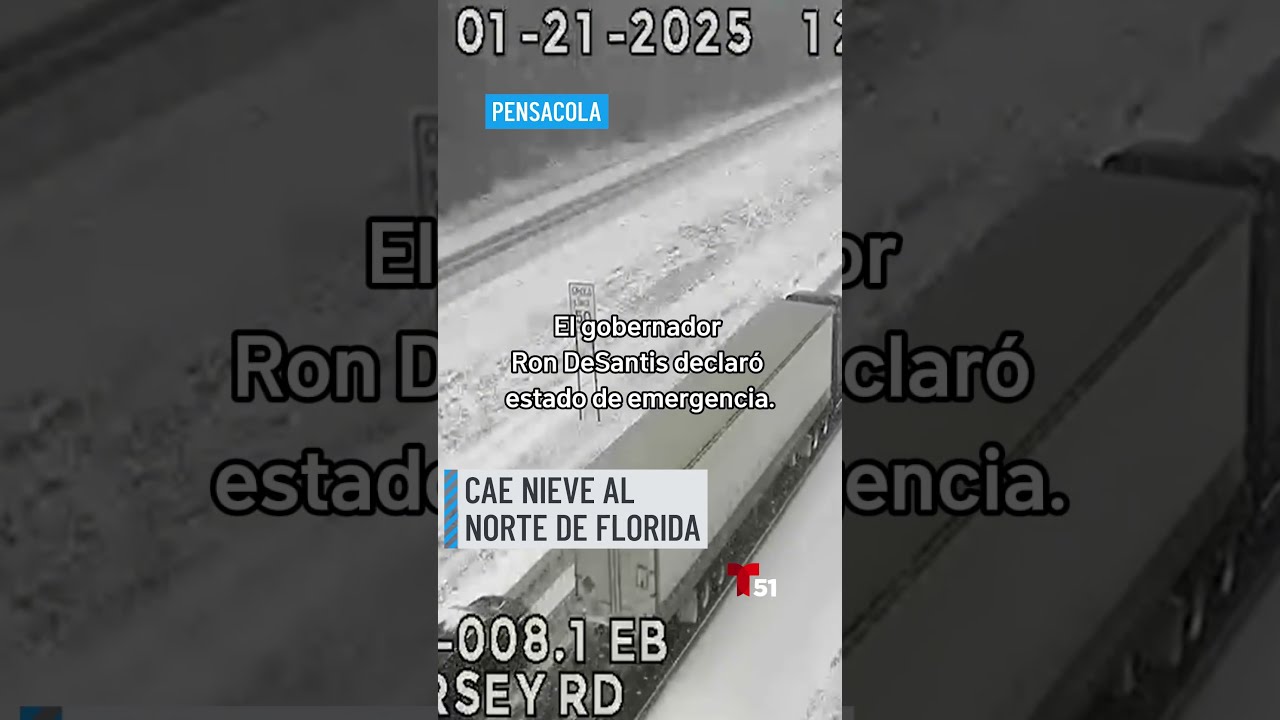 ¡Cae nieve en #Florida!