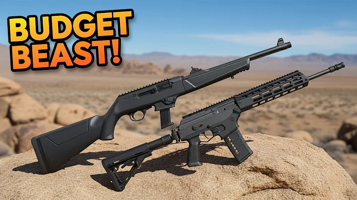10 Tactical Rifles That Are More Affordable than the AR-15 - Must See!