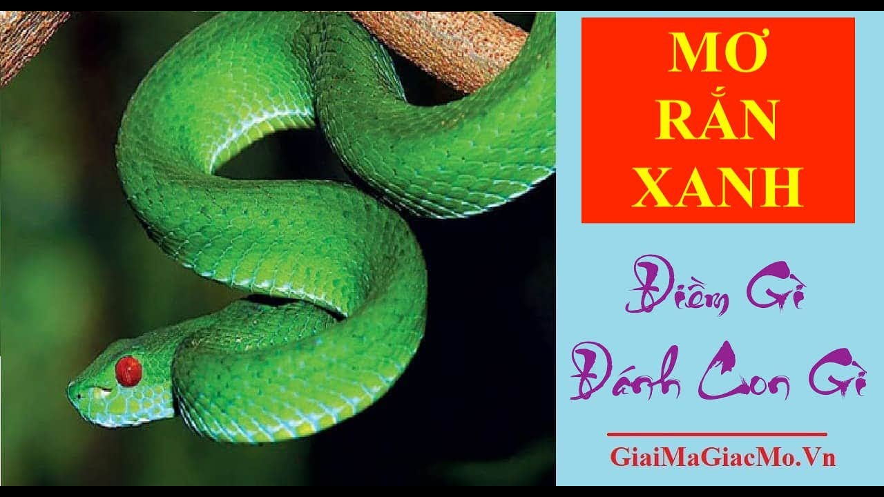 918kiss casino malaysia Mơ Thấy Rắn Xanh Điềm Gì, Đánh Con Gì 👉 GiaiMaGiacMo.vn 👁 Giải Mã Giấc Mơ Rắn Xanh ✅ Sổ Mơ Rắn Xanh