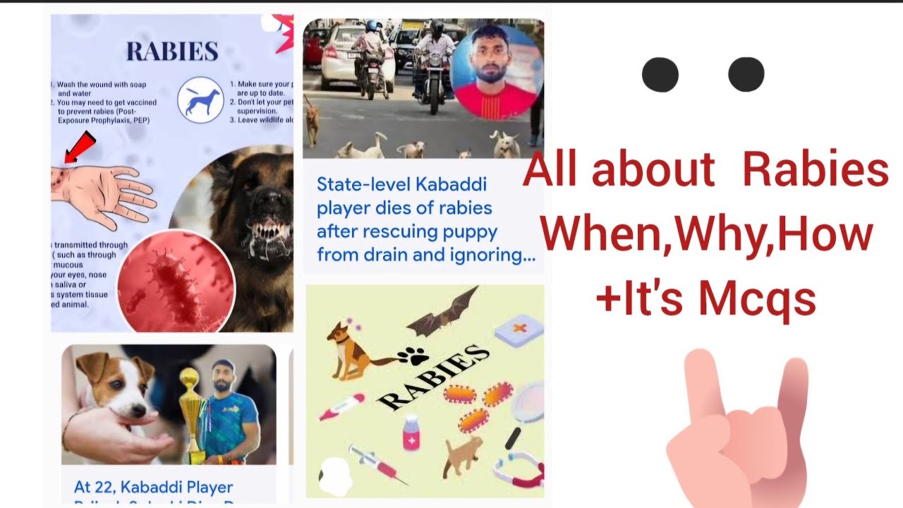 What is Rabies, Rabies symptoms , What is the name of virus/ALL IN ONE ...