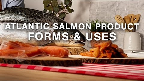 Atlantic Salmon Product Forms and Uses | Chef Alex Haun