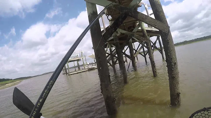 Redfish in the dock