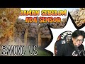 MONTAGE!! DIKALA SENSOR BELUM ADA - AMONG US #4