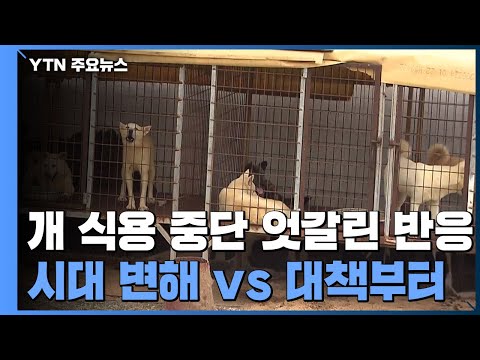 &#39;개 식용 중단 검토&#39; 엇갈린 반응...&quot;환영&quot; vs &quot;대책 필요&quot; / YTN