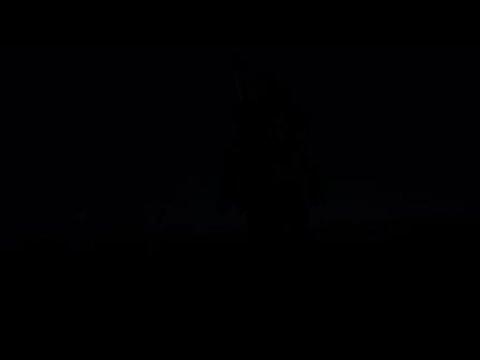 Dauntless [Portal Beam Hunt Arrival]