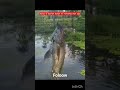 Mancing di rawa strike mujair monsteer #petualangan #shorts #shortvideo
