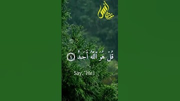 سورة الإخلاص- تلاوة خاشعة - القارئ أنس عصام #اكسبلور #القرآن_الكريم #المصحف #القارئ