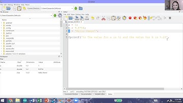 Using fprintf to Display Information in Matlab or Octave