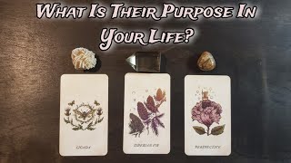 🕯🌿 What Is Their PURPOSE In Your Life? 🌿🕯 Pick A Card Love Reading