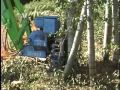 バンブーカッター　竹伐採機械　伐採、片付け、玉切りを１台で　バックホーのアタッチメント