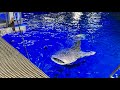 【神回】いおワールドかごしま水族館！貸切ツアー生配信🎨🐟vol.19