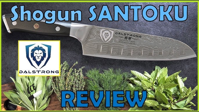 Dalstrong Gladiator Santoku Knife Review 