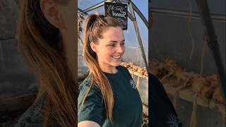 A Better Alternative To Animal Testing?