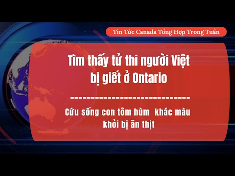 🟥 Tin tức