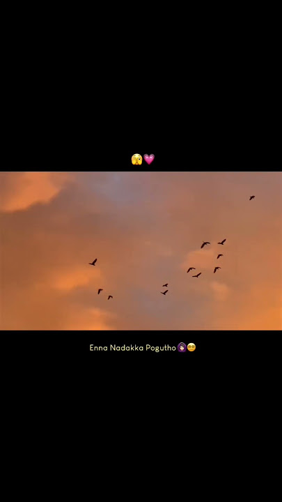 Threyama pathu puten  onnathrechathan matiketen...👀 #hitsong #love #dazzlinglovebeatz #lovemusic #l