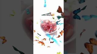 Kech Boʻganda Hayolilani Enasinikiga Tiqi Didimde