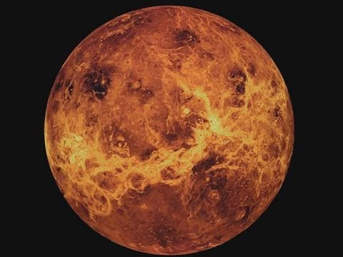 Video: Kas nupiešė Venerą ant pusės apvalkalo?