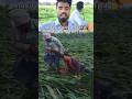 The Gas Comes From Outside It Explodes In 10 Days Comedyfilms Jaimatadi Maavaishnavi Funny 