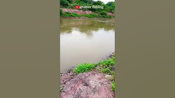 canal overflow after heavy rain🌧️#shorts #shortvideo #umerfishing