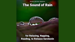 The Sound of Rain Pt. 19