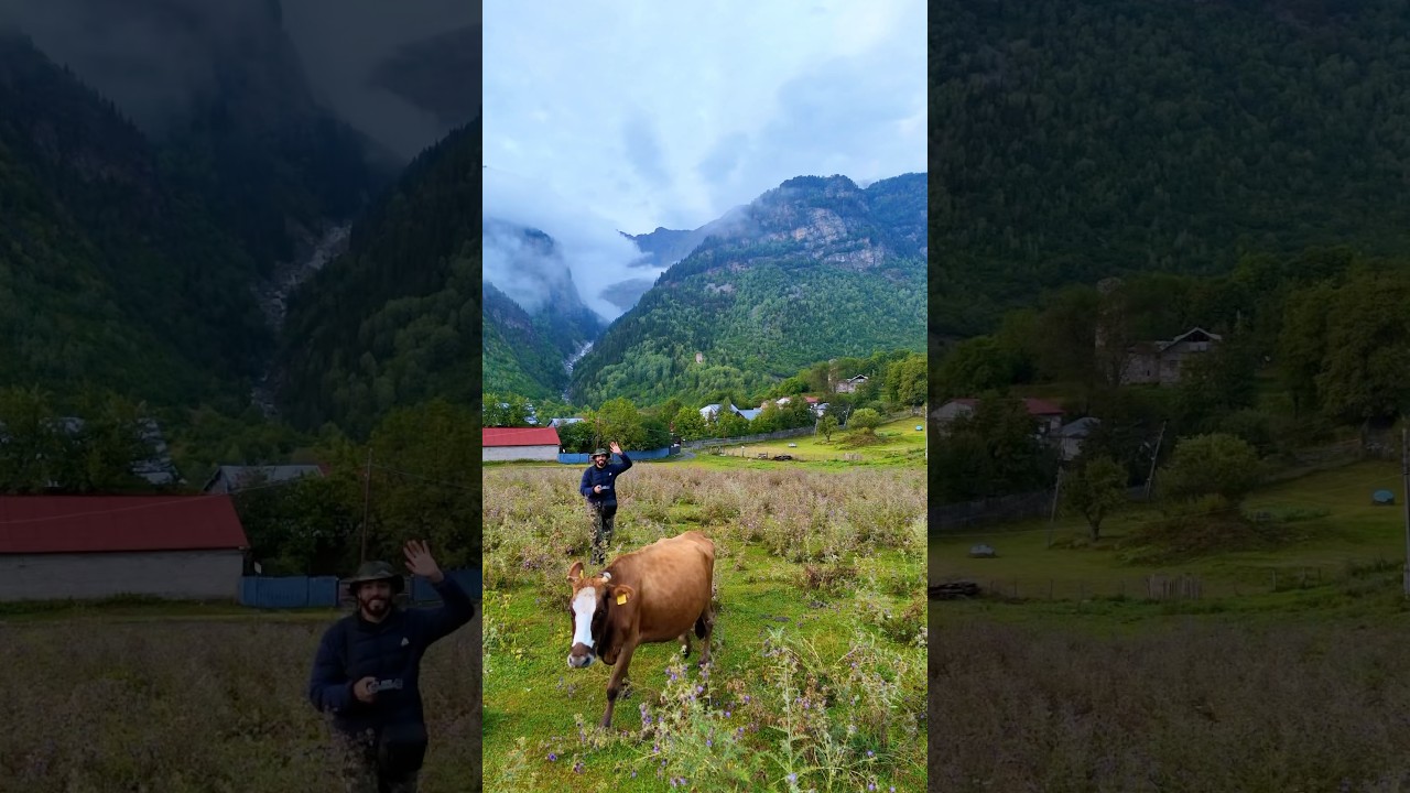 ⁣أصدقائي ، الليلة أنا هنام هنا في المكان دا…#طاهرمسافر  🦅#جورجيا #طبيعة #تأمل