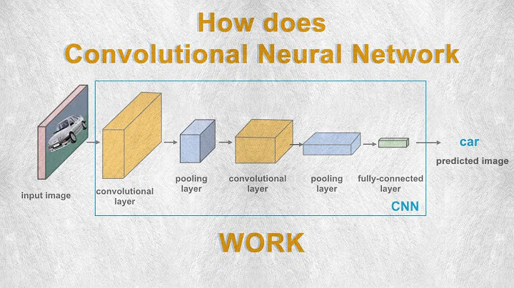 How does a CNN work?