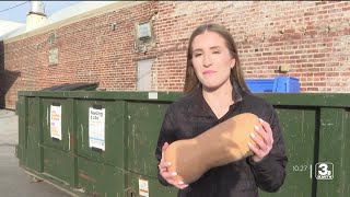 Pumpkin drop-off at Dundee Bank gives pumpkins new life