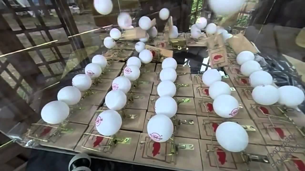 Mousetrap Fission Mouse Traps and Ping Pong Balls Experiment YouTube