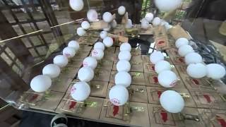 Mousetrap Fission - Mouse Traps and Ping Pong Balls Experiment screenshot 5