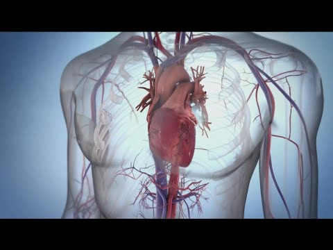 New Revolutionary Procedure To Treat Atrial Fibrillation | Sharp Is First Hospital On West Coast For